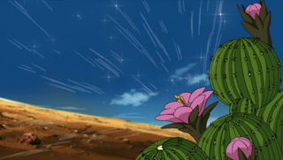 Cactus Genjutsu