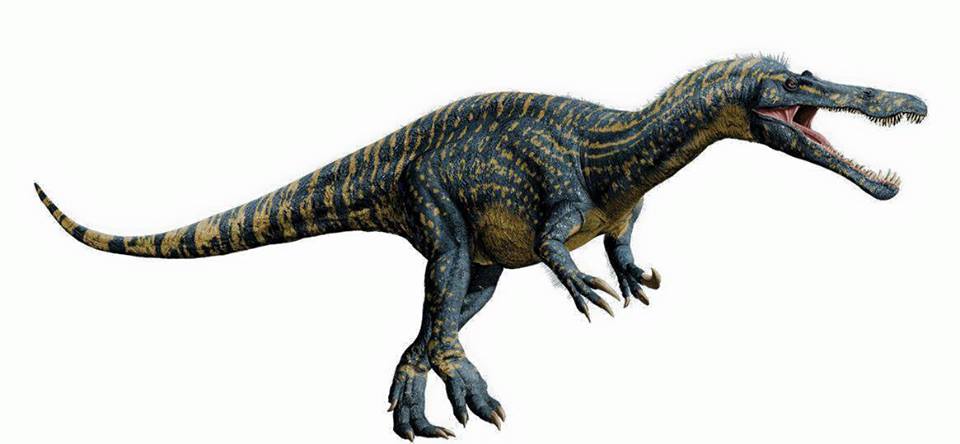 Suchomimus Jurassic Park Wiki 