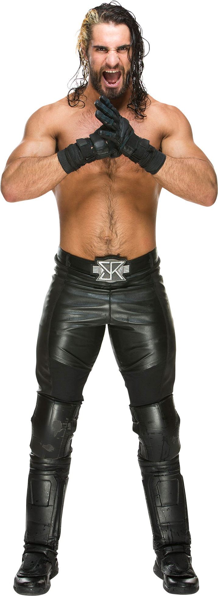 Seth_rollins_2015.png