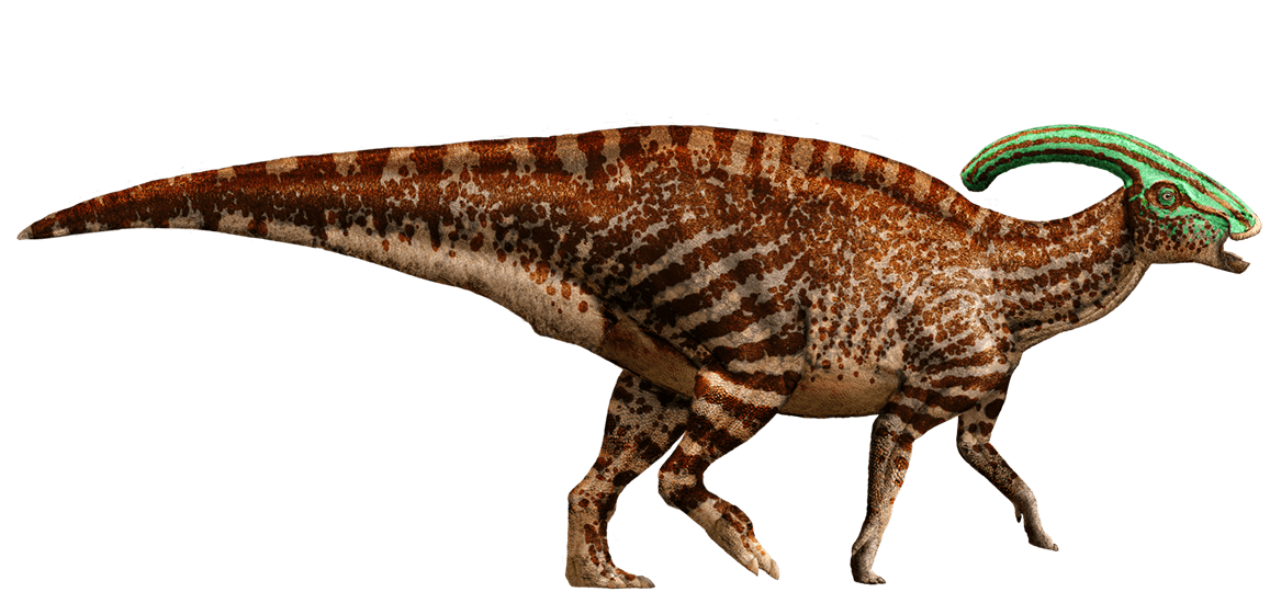 Parasaurolophus-detail-header.png