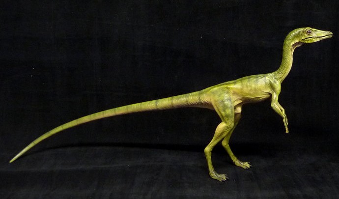 compsognathus fossil for sale