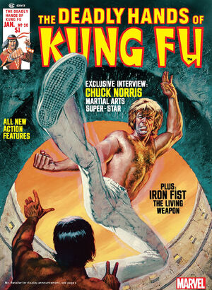Deadly Hands of Kung Fu Vol 1 20