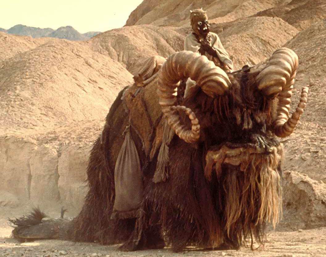 Bantha - Wookieepedia, the Star Wars Wiki