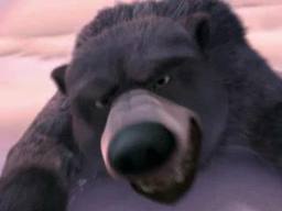 Image - A bear.jpg - Alpha and Omega Wiki