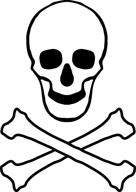 Image - Skull and crossbones.jpg - Pirates of the Caribbean Online Wiki