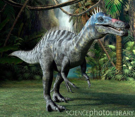 Suchomimus - Dinopedia - the free dinosaur encyclopedia