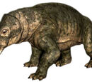 Mammal-like reptiles - Dinopedia - the free dinosaur encyclopedia