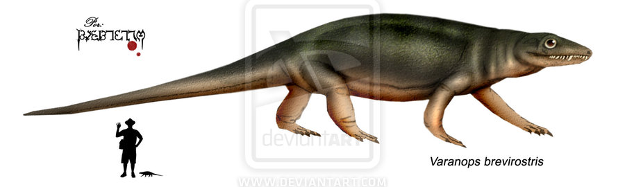 Varanopidae - Dinopedia - the free dinosaur encyclopedia