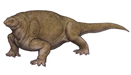 Caseidae - Dinopedia - the free dinosaur encyclopedia