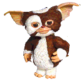 Talk:Gremlins Wiki - Gremlins Wiki