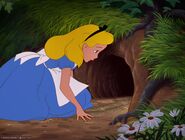 Rabbit Hole - Alice in Wonderland Wiki