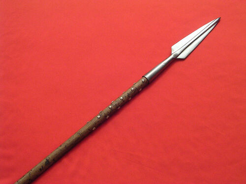 Iapetus' Spear - Camp Half-Blood Wiki - Percy Jackson, The Heroes of ...