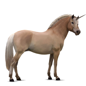 Image - Fjord Unicorn - Rodblakk.png - Howrse Wiki - Wikia