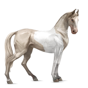 Image - Marwari - Cremello Tobiano.png - Howrse Wiki