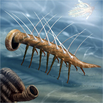 Hallucigenia - Dinopedia - the free dinosaur encyclopedia