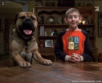 Dewey's Dog - Malcolm in the Middle Wiki