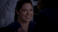 Callie Torres - Grey's Anatomy and Private Practice Wiki