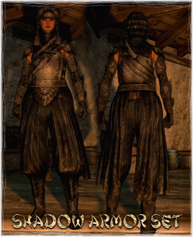 http://img2.wikia.nocookie.net/__cb20130520164258/dragonsdogma/images/6/69/Armour_Set_Shadow_Armor.png