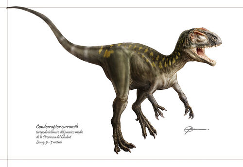 Condorraptor - Dinopedia - the free dinosaur encyclopedia