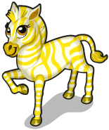 Yellow Zebra - Tiny Zoo Wiki