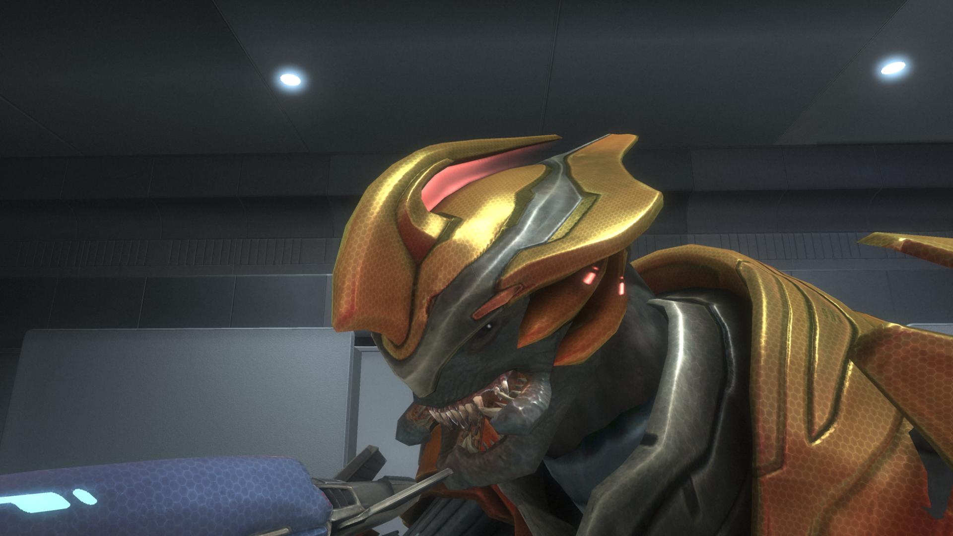 Image - Elite Sangheili Major.jpg - Halo Nation — The Halo encyclopedia ...