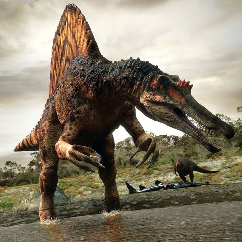 Spinosaurus - Planet Dinosaur Wiki - Wikia