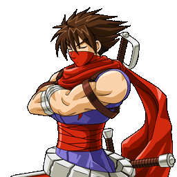 Image - Nxc hiryu crossed arms.png - Strider Wiki - Wikia