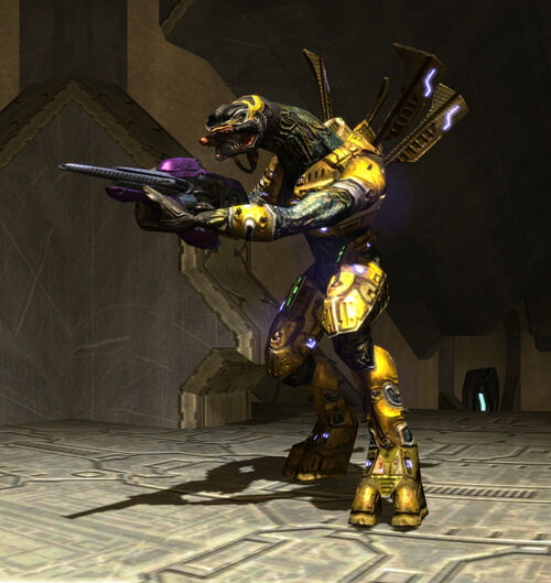 Heretic Sangheili Major - Halo Nation - Wikia