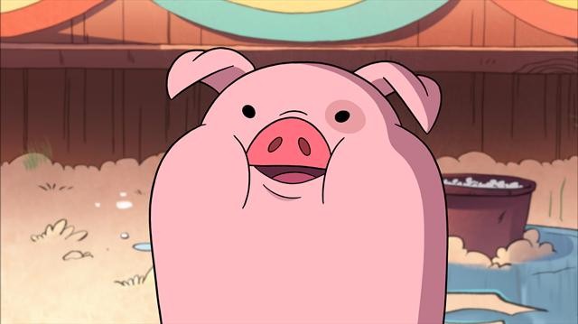 Image - Waddles-gravity-falls-31984110-640-359.jpg - Disney Fanon Wiki