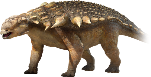 Ankylosaurs - Dinopedia - Wikia