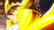 Seiya Gold Saint