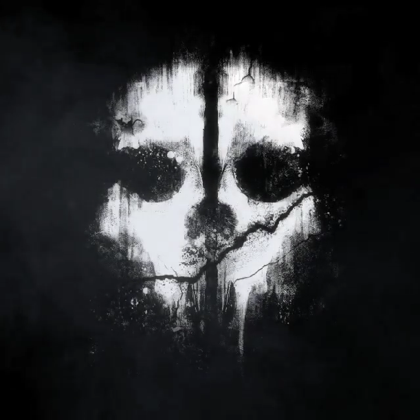 Image - Logan Walker skull mask pattern CoDG.png - The Call of Duty ...