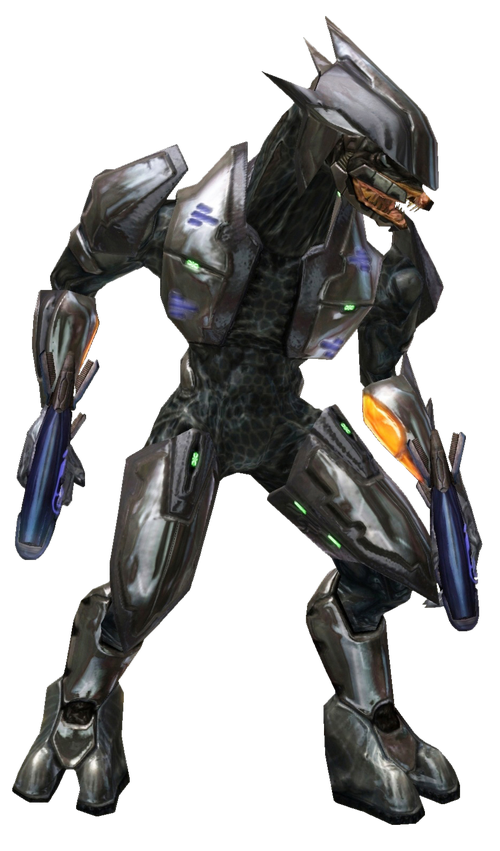 Stealth Sangheili - Halo Nation — The Halo encyclopedia - Halo 1, Halo ...