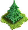 Pine Tree