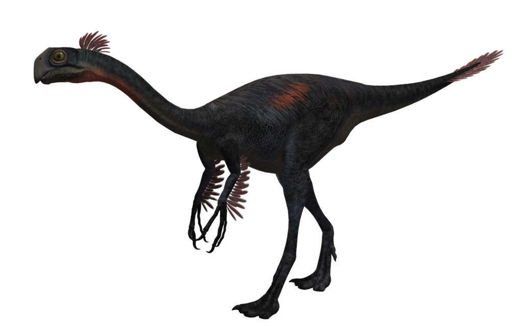 Гигантораптор. Gigantoraptor erlianensis. гигантораптор динозавр. incisivosaurus oviraptorosauria. читипати динозавр.