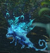 Nether Faerie Dragon - WoWWiki - Your guide to the World of Warcraft