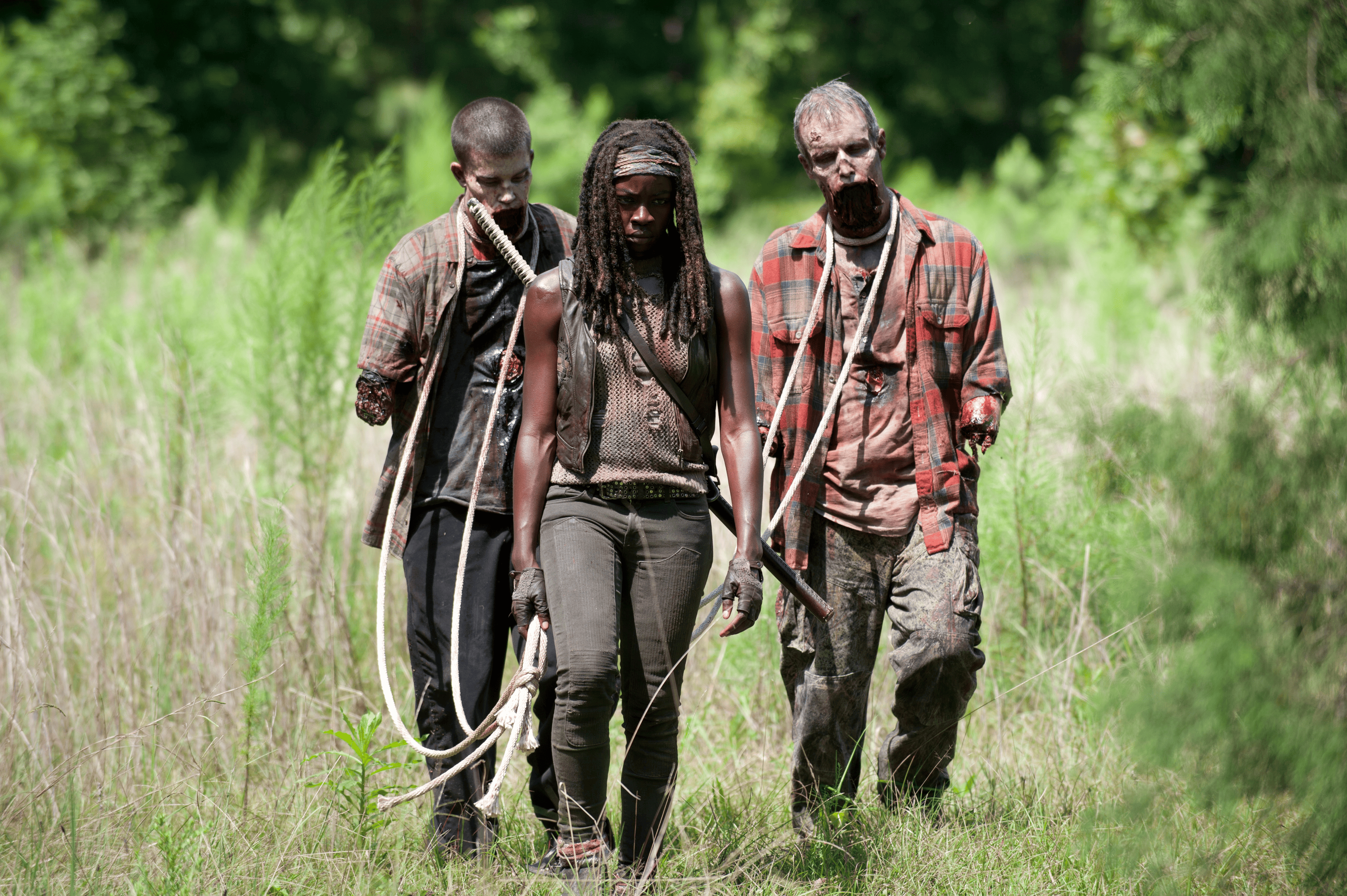 http://img2.wikia.nocookie.net/__cb20140125002317/walkingdead/images/f/f7/AMC_TWD_After.png