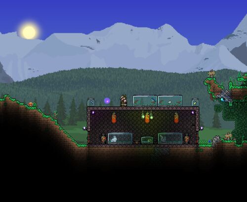 Terrarium - Terraria Wiki - Wikia