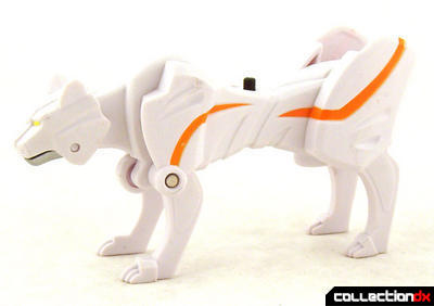 Image - Puma animal spirit.jpg - RangerWiki - Wikia