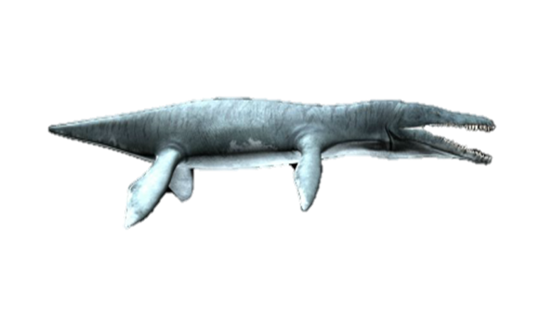 Kronosaurus - Dinopedia - the free dinosaur encyclopedia