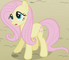 Fluttershy Earth pony ID S2E01
