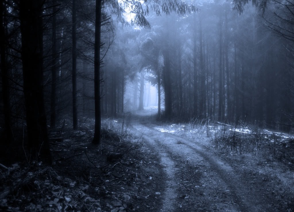 Image - Dark-forest-path-wallpaper.jpg - The Warrior Cats Roleplay and ...