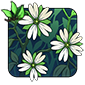 Chickweed.png
