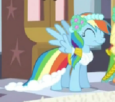 Rainbow Dash Boda