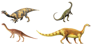 Sauropodomorpha - Dinopedia - the free dinosaur encyclopedia