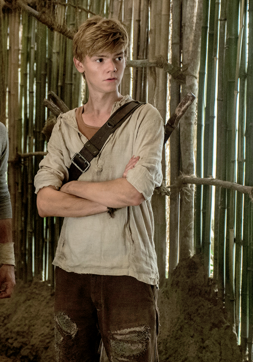 Newt - The Maze Runner Wiki