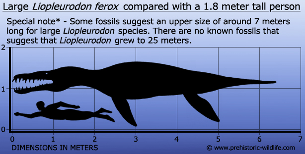 Liopleurodon-size.jpg